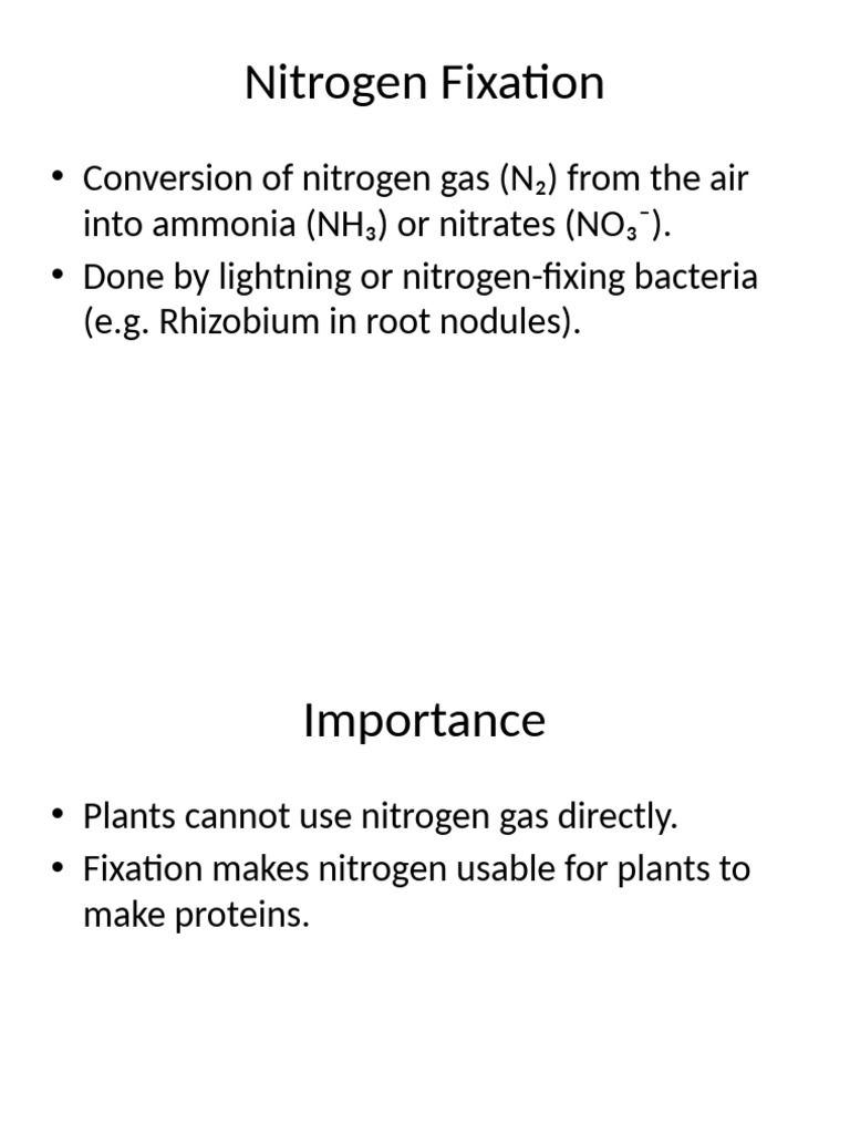 Nitrogen Fixation | PDF