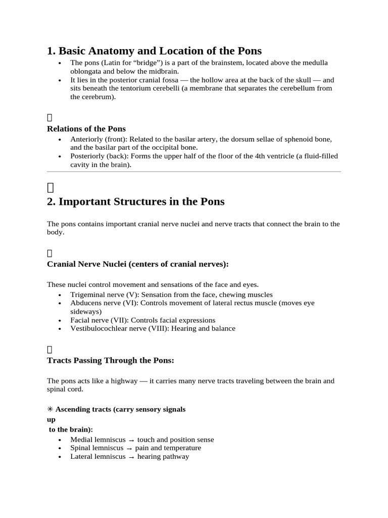 Pons copy | PDF | Brainstem | Human Anatomy