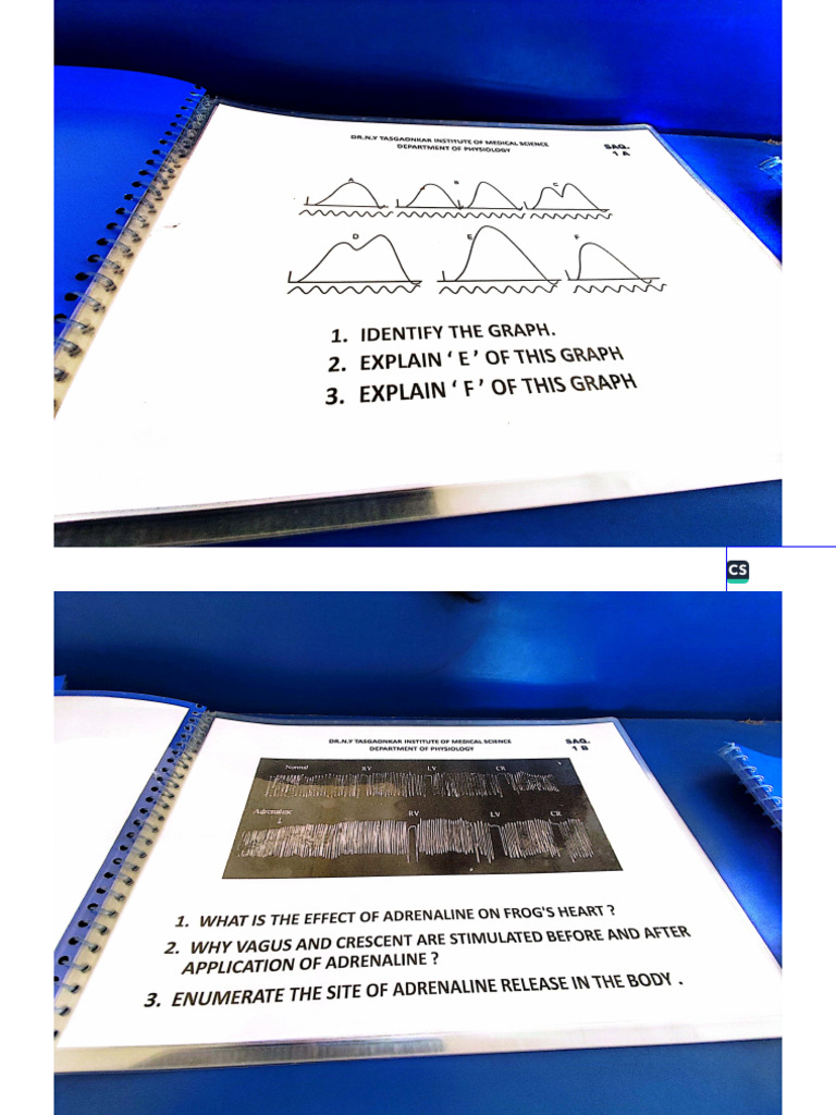 Physio Graphs & Charts | PDF
