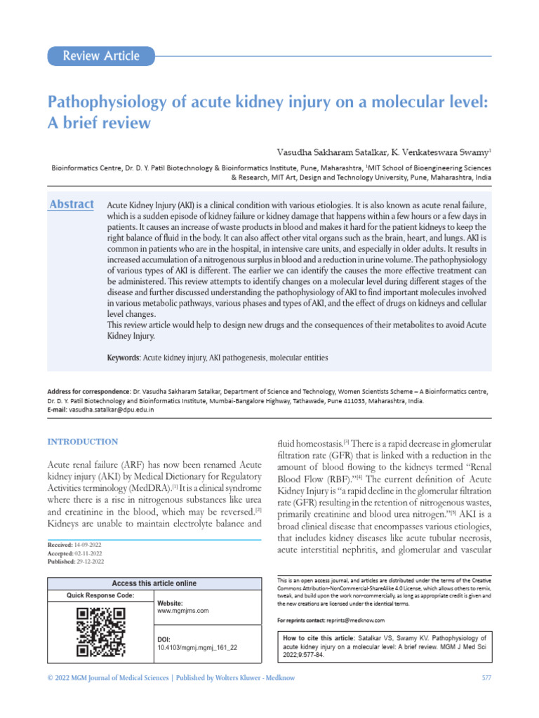 Pathophysiology of Acute Kidney Injury On A.21 | PDF | Mitochondrion ...