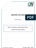 Rapport de Stage Credit Agricole France