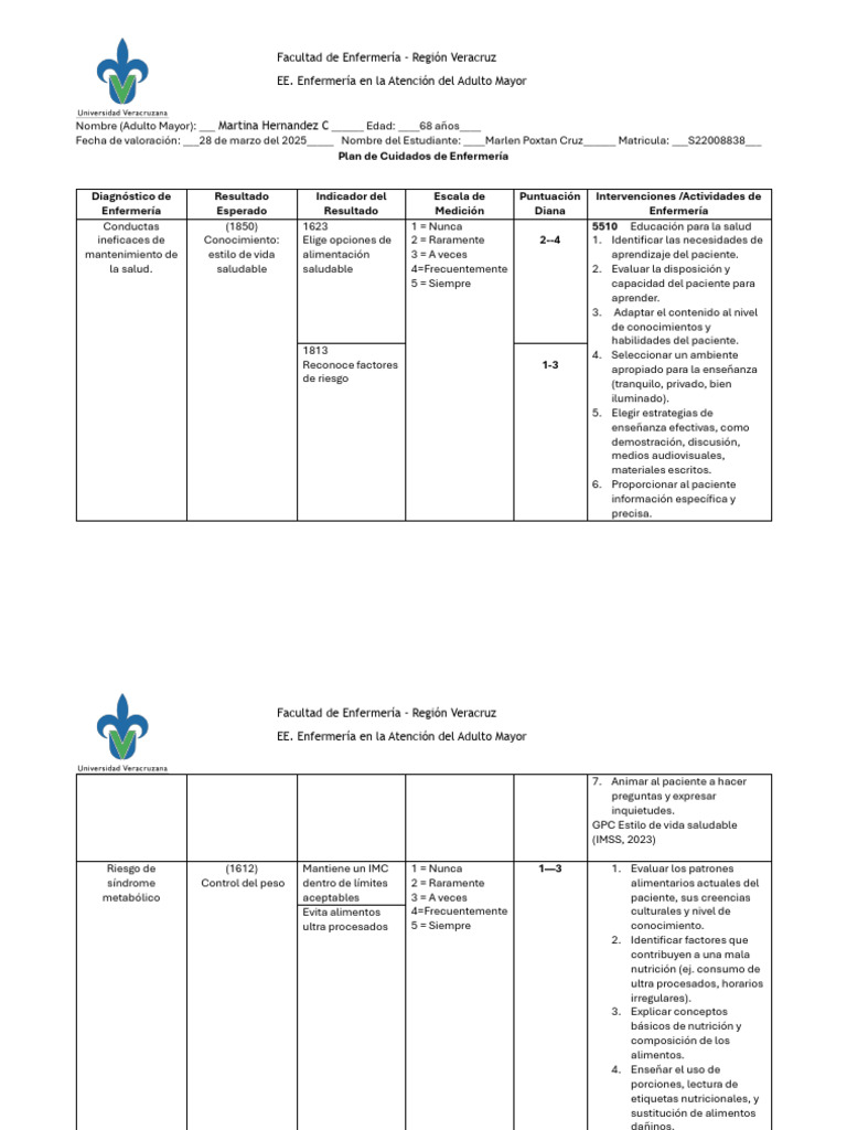 Plan de Cuidados para Adulto Mayor | PDF | Enfermería | Adultos