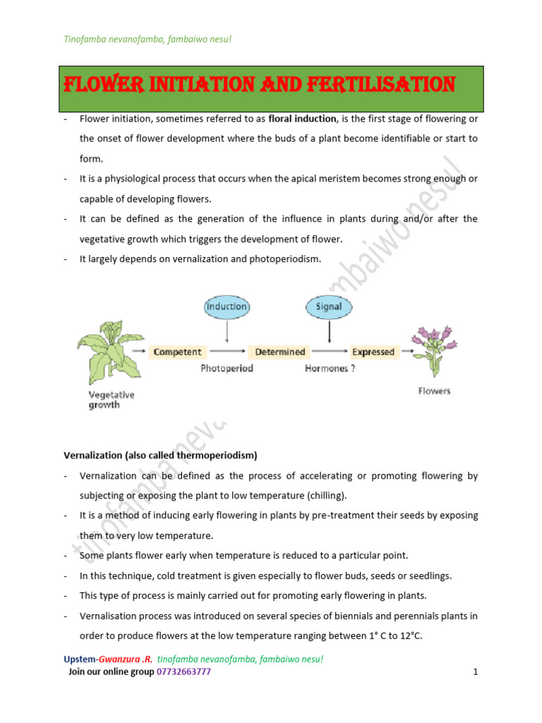 Flower Initiation and Fertilisation | PDF | Seed | Pollen
