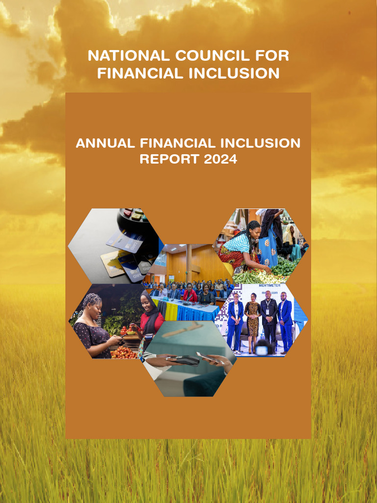 Tanzania Annual Financial Inclusion 2024 | PDF | Financial Inclusion ...
