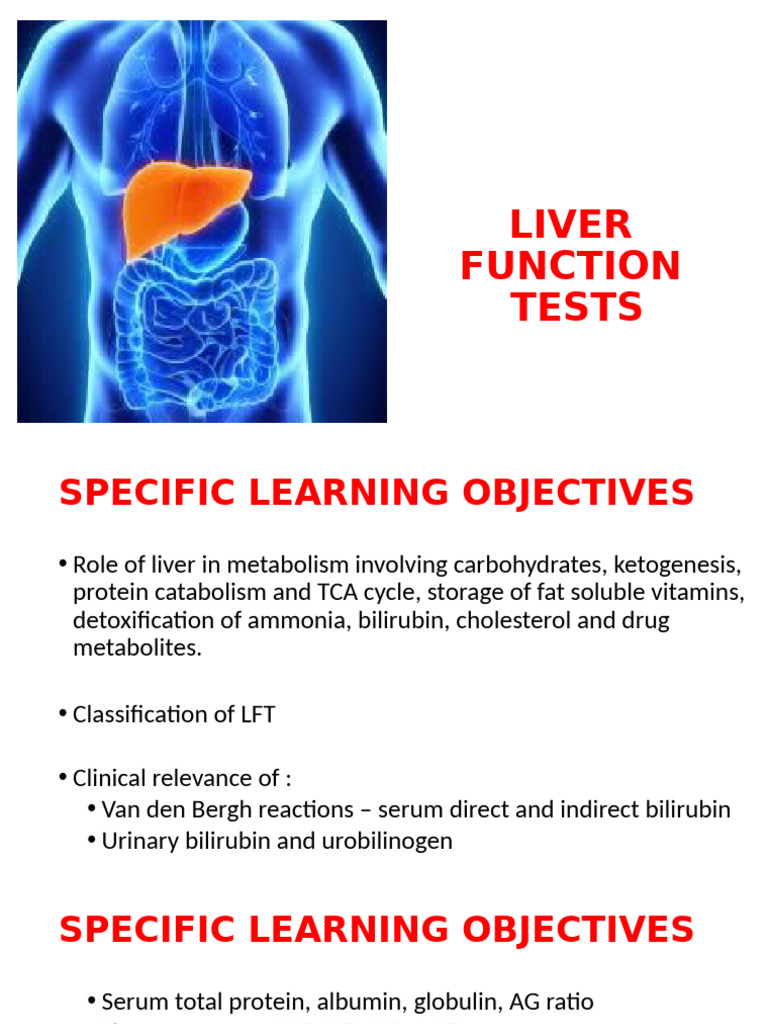 Comprehensive Guide to Liver Function Tests | PDF | Blood Plasma | Liver