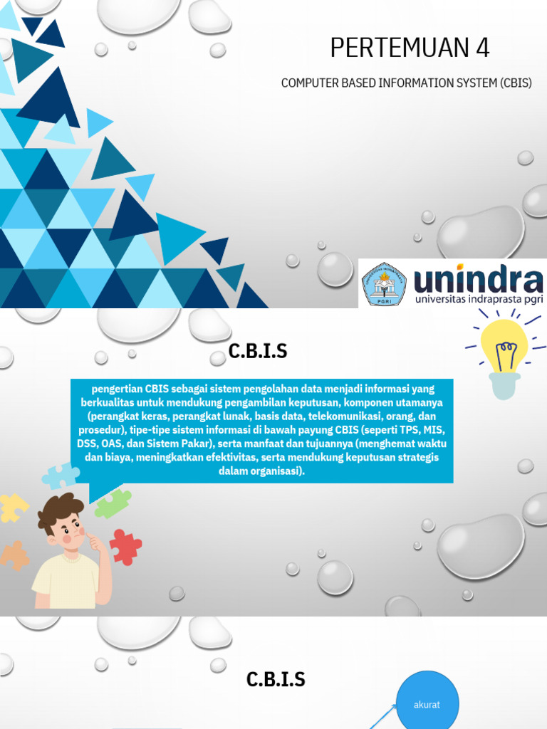 Sistem Informasi Berbasis Komputer (CBIS) | PDF