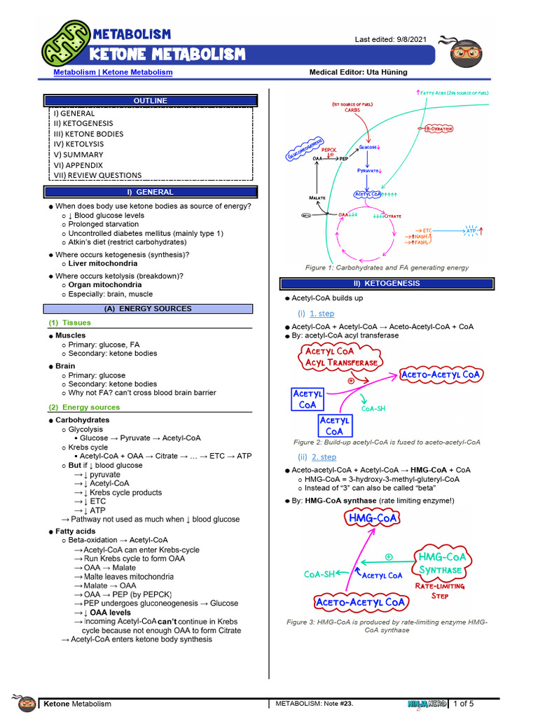 4. Ketone Metabolism | PDF | Organic Compounds | Biomolecules