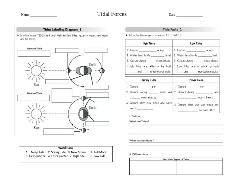 Understanding Tidal Forces and Tides | PDF