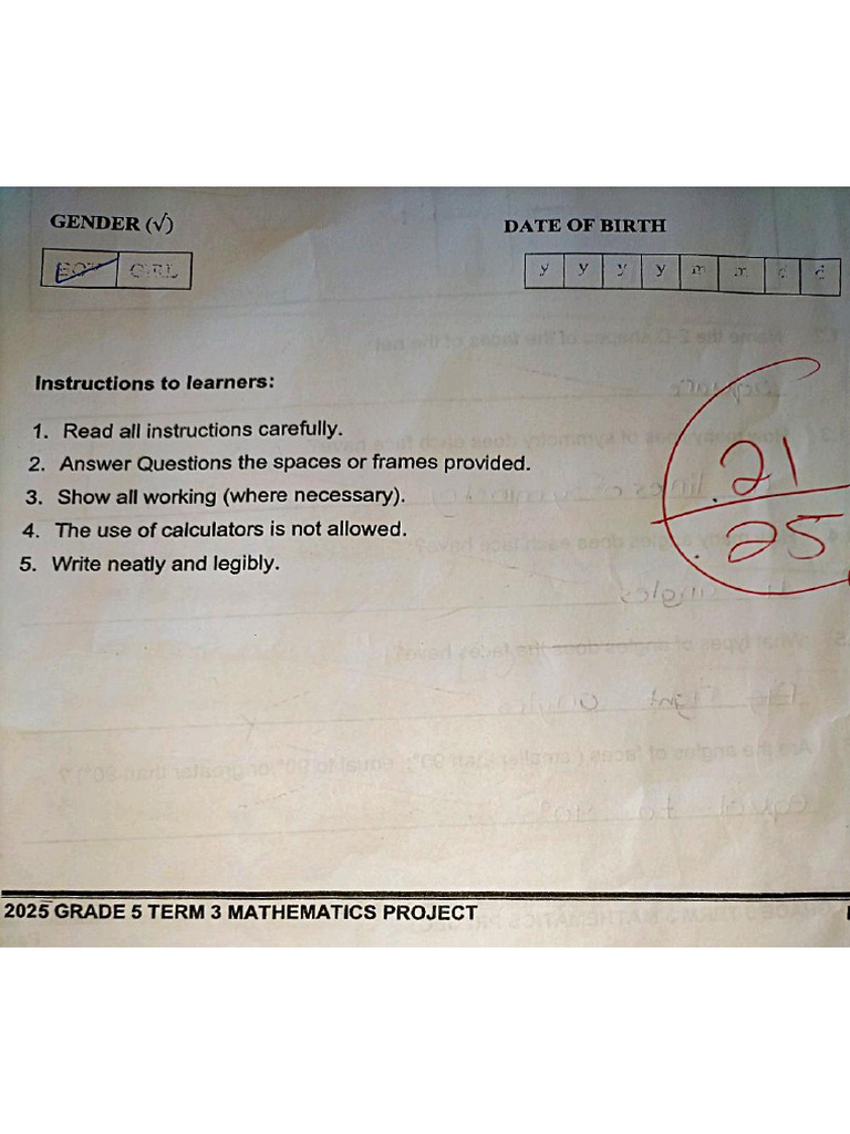 Grade 5 Project Mathematics Term 3 | PDF