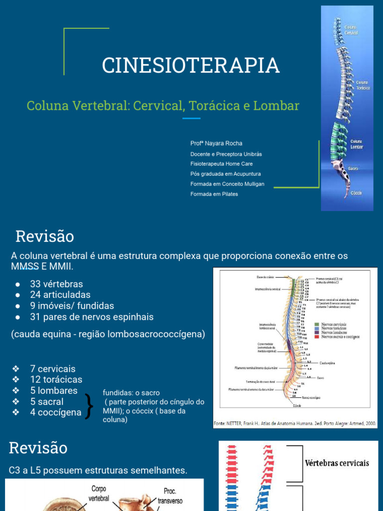 Anatomia e Patologias da Coluna Vertebral | PDF | Sistema Locomotor ...