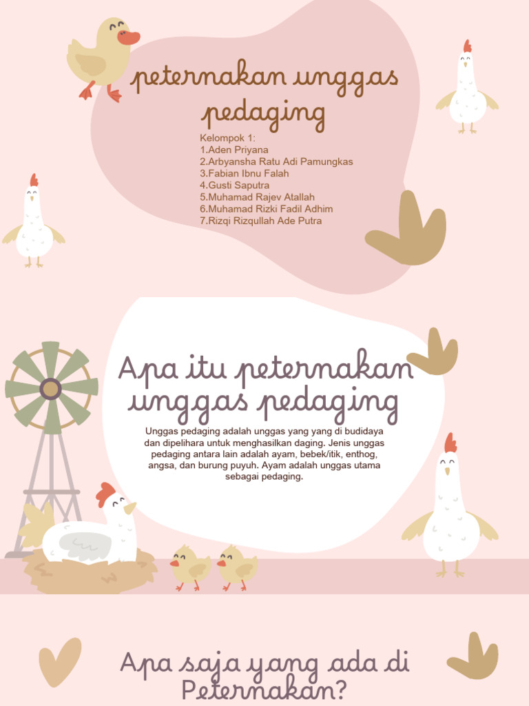 Panduan Peternakan Unggas Pedaging | PDF