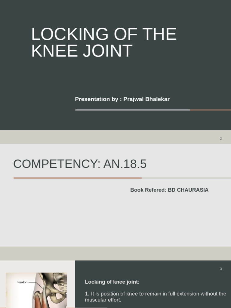 Understanding Knee Joint Locking | PDF