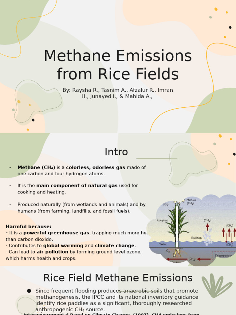 Methane Emissions from Rice Cultivation | PDF | Climate Change ...