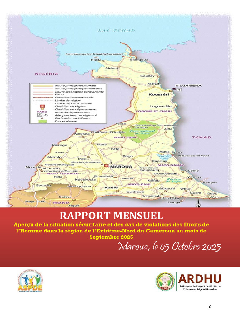 Violations des Droits de l'Homme au Cameroun | PDF