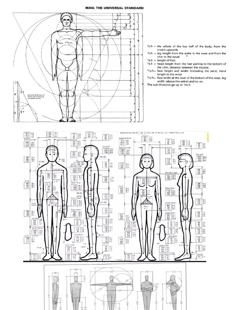 Anthropometry | PDF