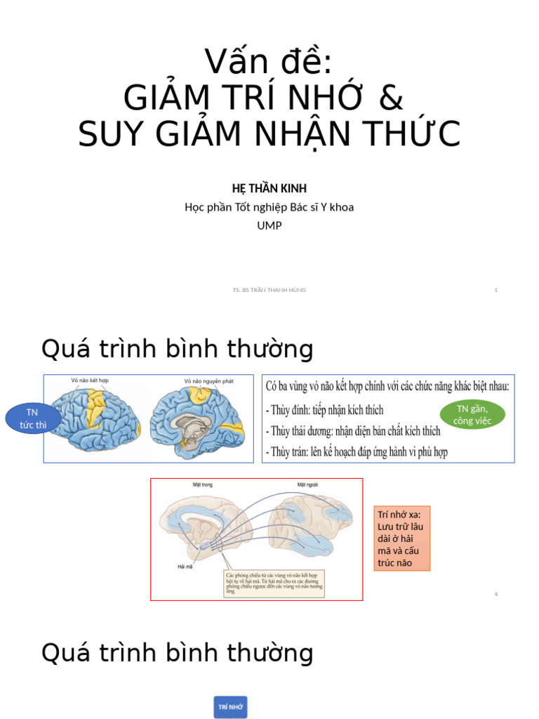Thần Kinh - Thần Kinh - Giảm Trí Nhớ Và SGNT - TRẦN THANH HÙNG | PDF