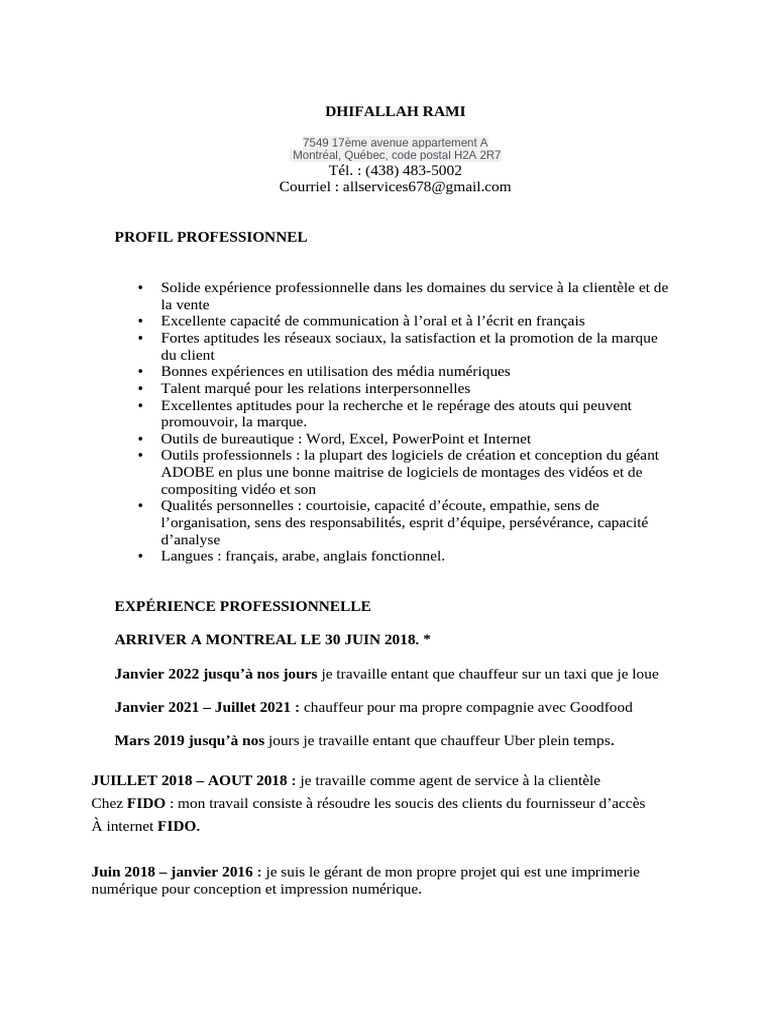 Profil professionnel de Rami Dhifallah | PDF | Informatique ...