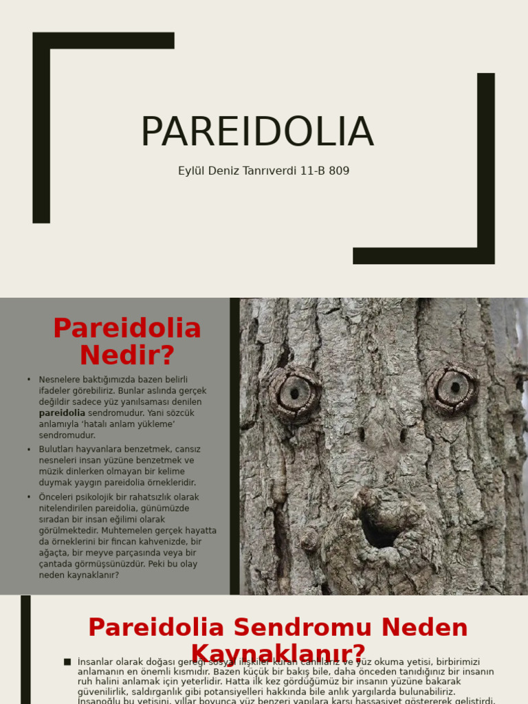 Pareidolia Edü | PDF