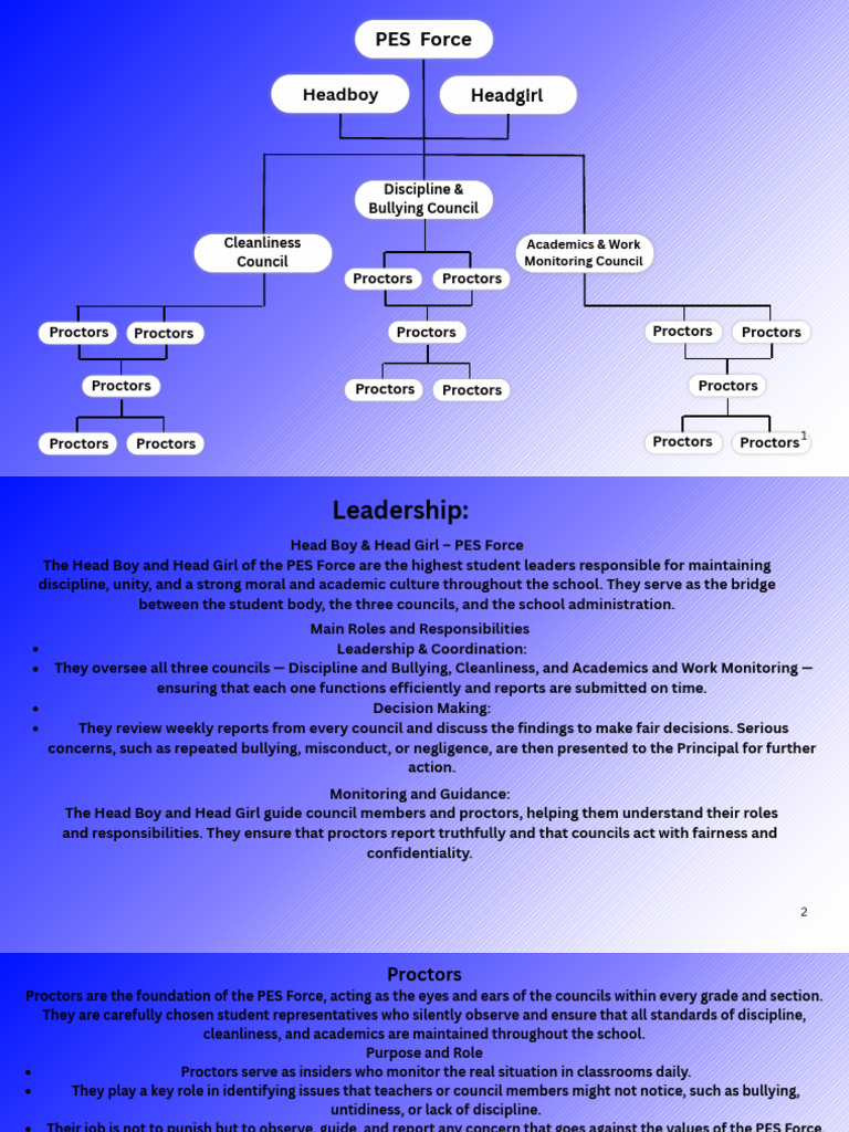 PES Force Plan | PDF | Bullying | Teachers