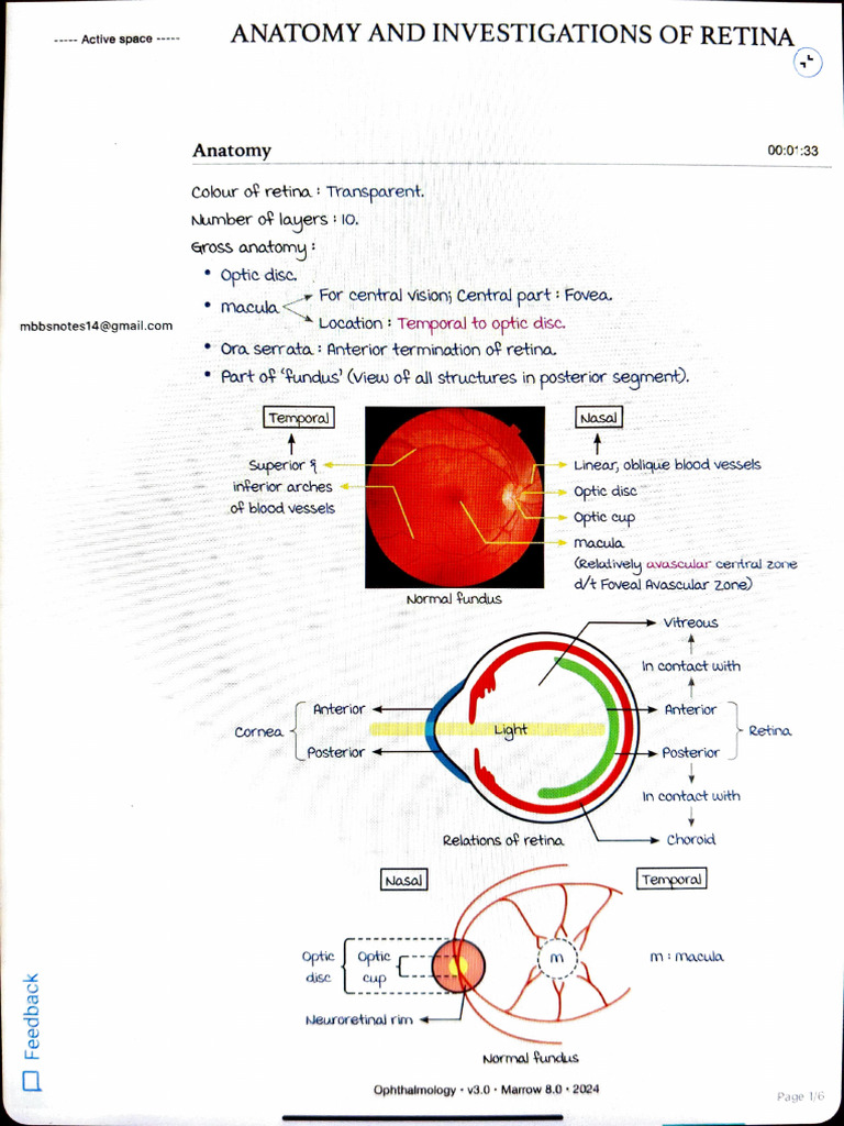 Anatomy and Investigations of Retina | PDF | Retina | Visual System