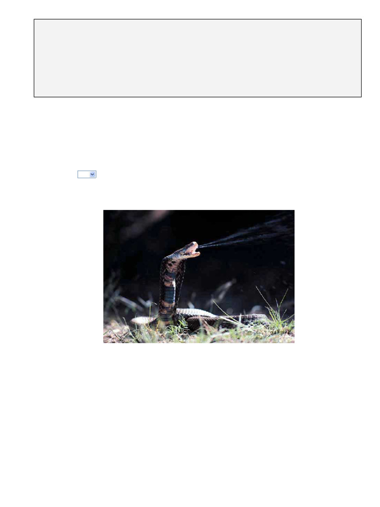 Snakes and Poisonous Snakes | PDF | Snake | Reptile
