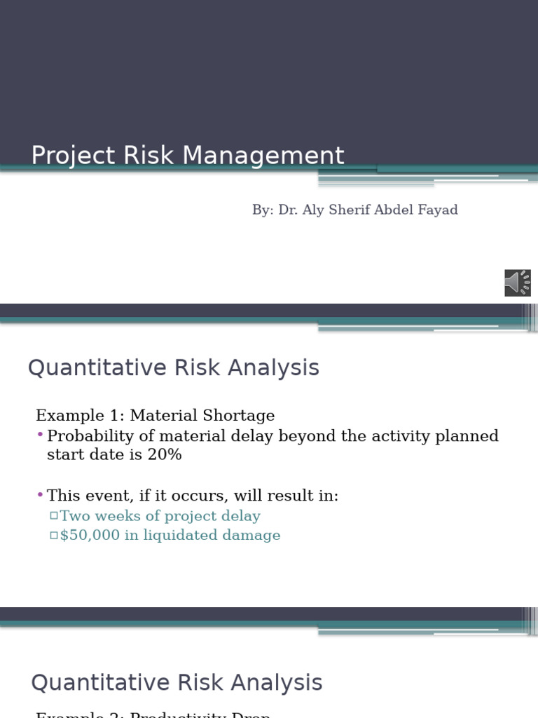 Lecture 3 Continued | PDF | Risk | Simulation