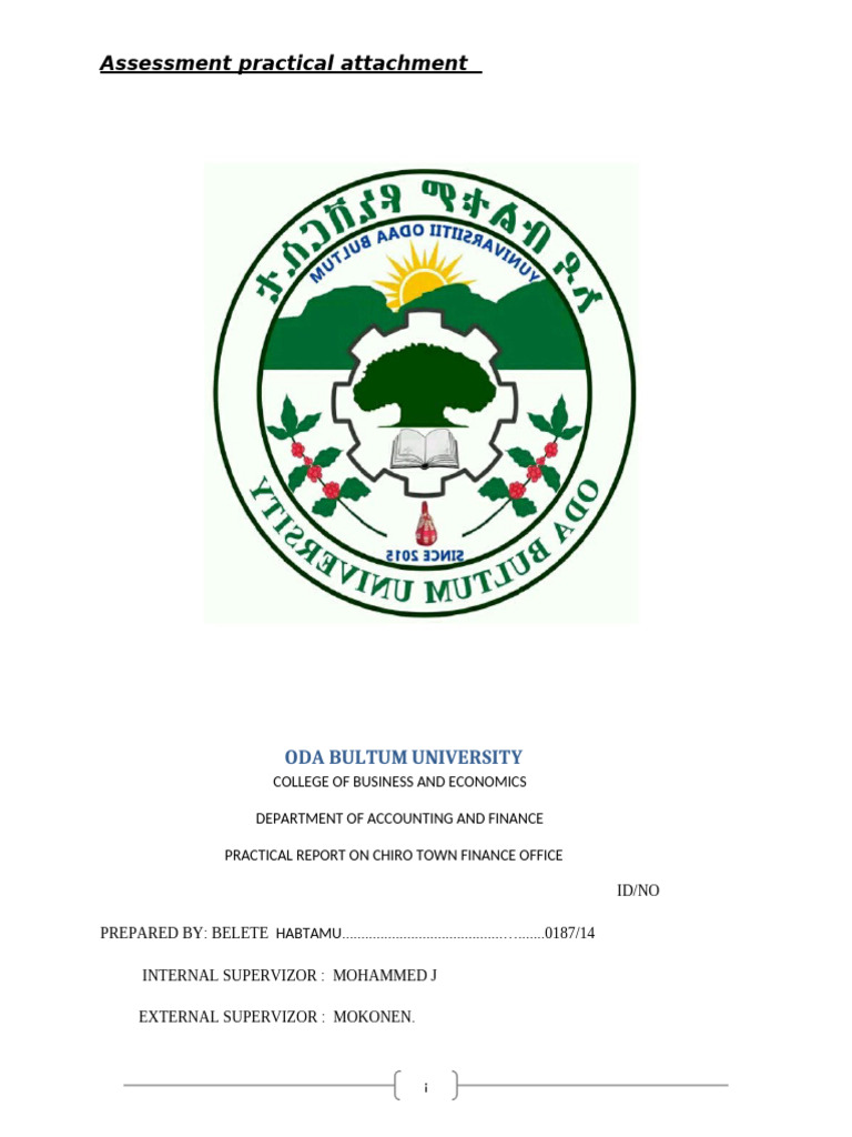 Belete Habtamu Report Attachment (1) | PDF | Swot Analysis | Employment