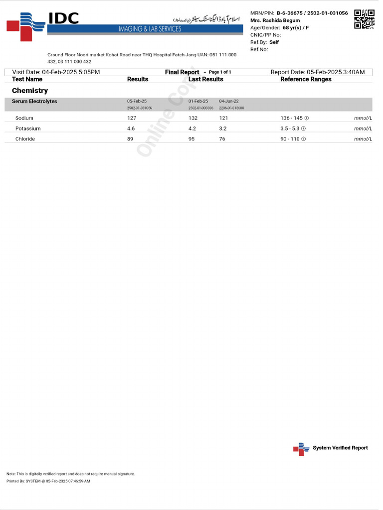 Patient Report PDF | PDF