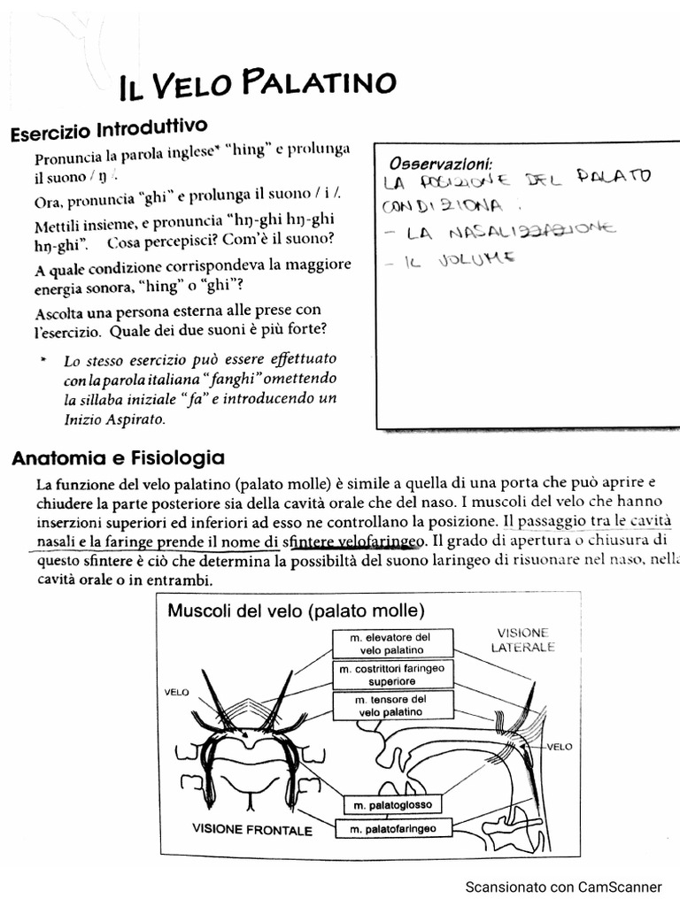 Il Velo | PDF