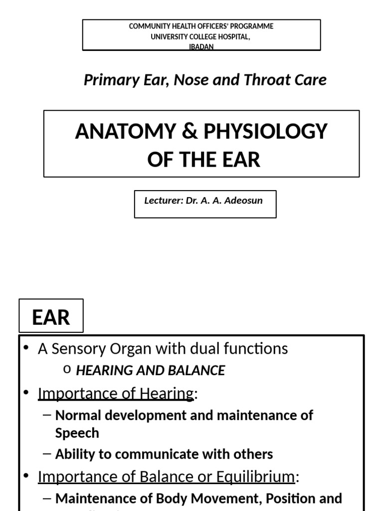 Inner Ear Anatomy Overview 2025 | PDF | Ear | Hearing