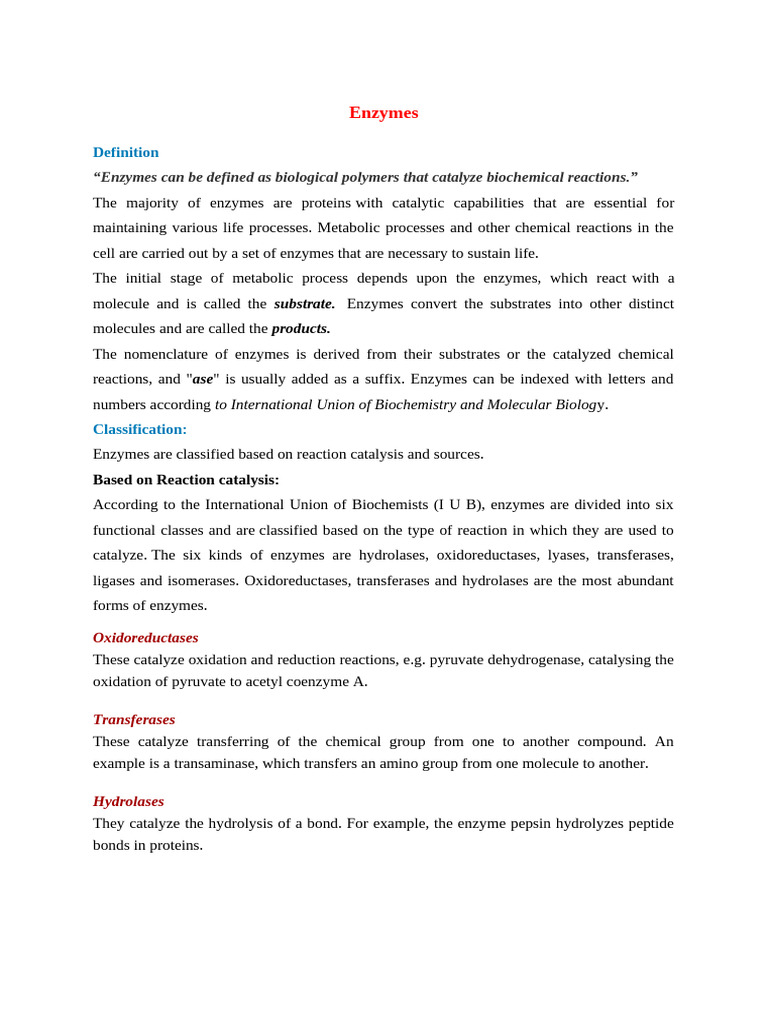 Understanding Enzymes: Types and Functions | PDF | Enzyme | Active Site