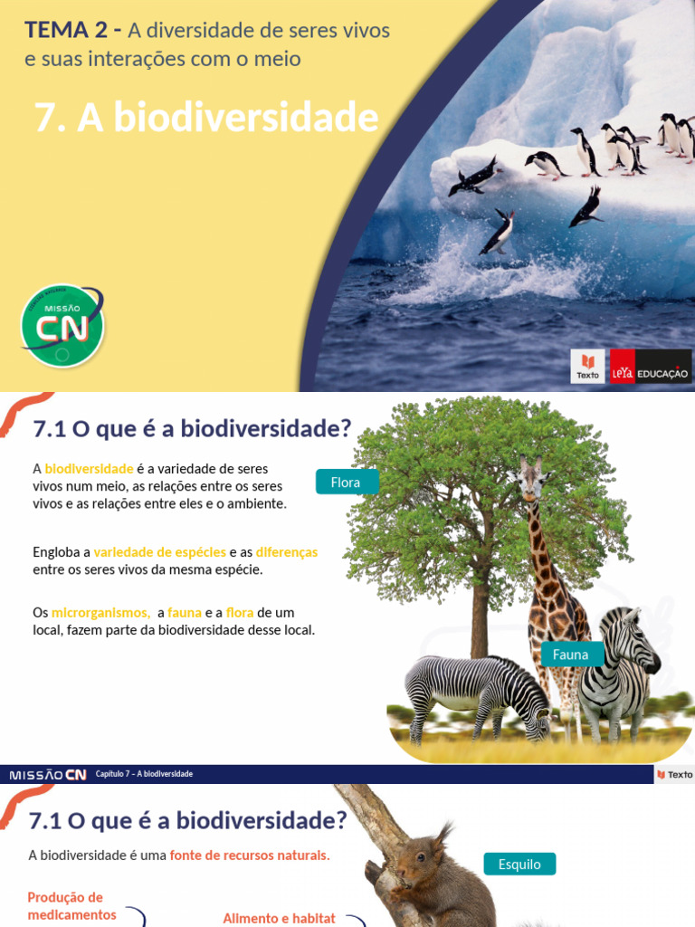 Entendendo a Biodiversidade e Suas Ameaças | PDF | Biodiversidade | Habitat