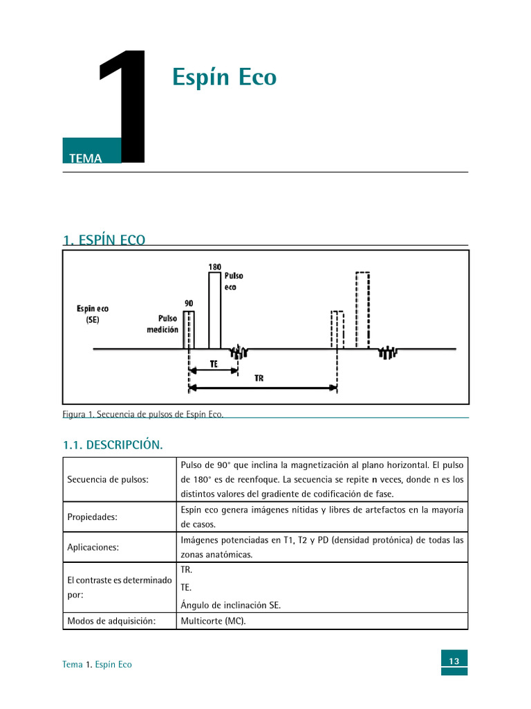 Parámetros y Aplicaciones de Espín Eco | PDF
