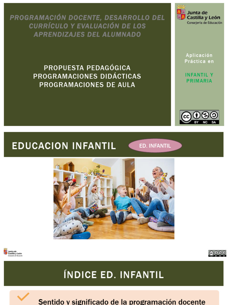Programación Infantil y Primaria - Aguilar | PDF | Evaluación | Plan de ...