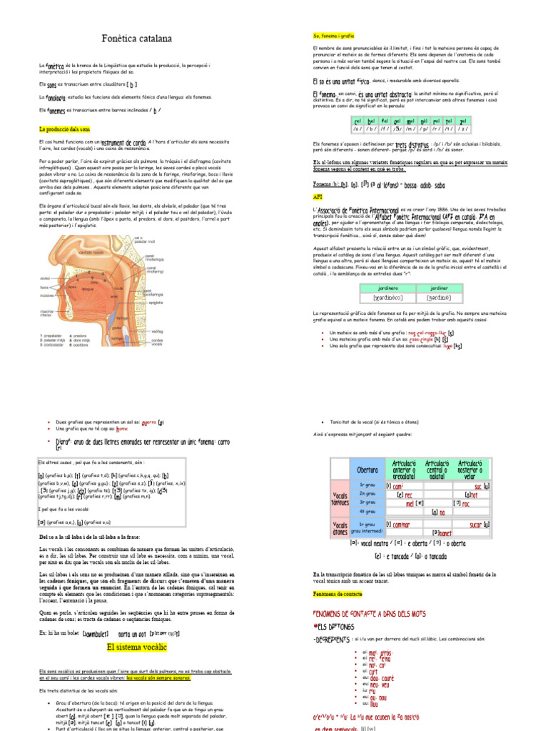 Apunts Fonètica | PDF