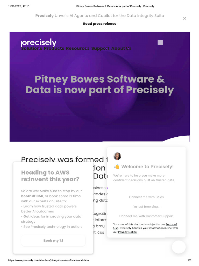 Precisely | PDF