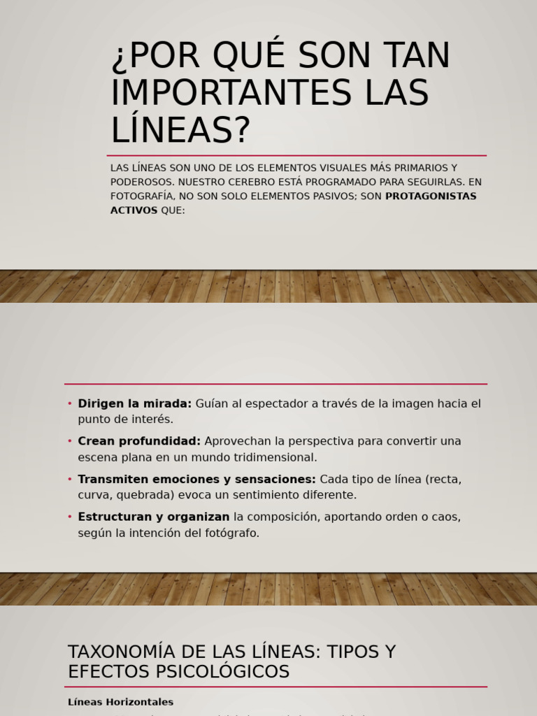 Importancia de las Líneas en Fotografía | PDF | Composición (artes ...