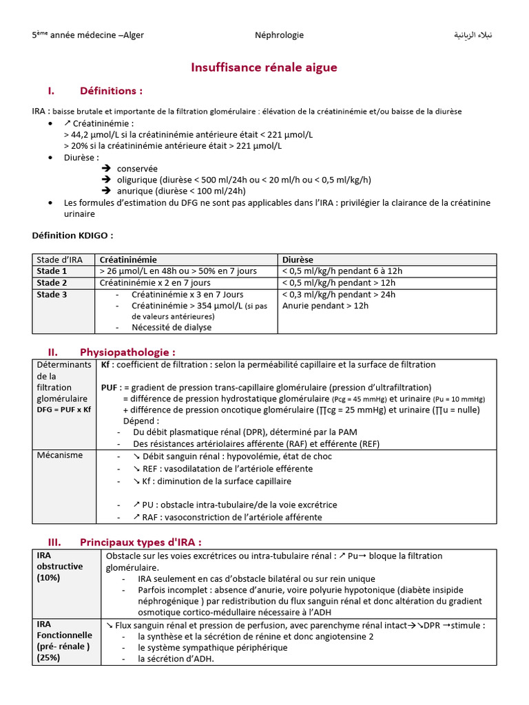 Insuffisance Rénale Aiguë : Définition et Types | PDF | Rein | Organe