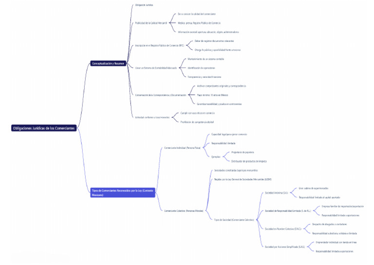 Mapa Mental | PDF