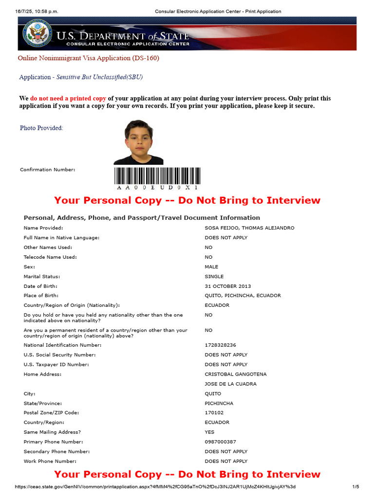 DS-160 Online Visa Application Guide | PDF | Citizenship Of The United ...