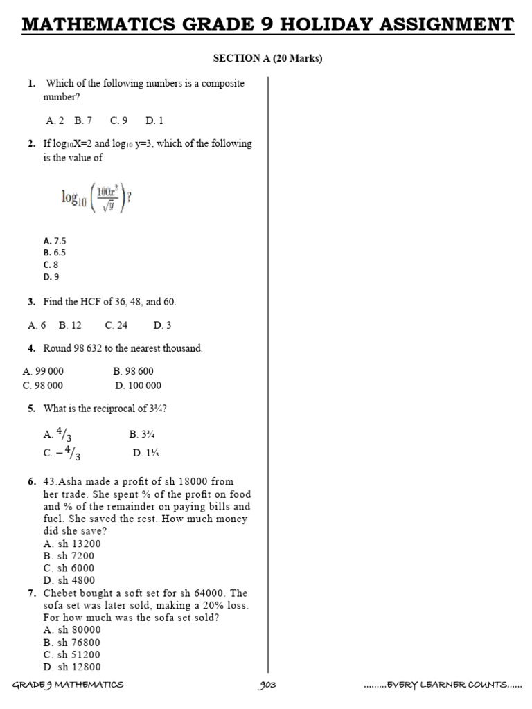 Grade 9 Mathematics Holiday Assignment | PDF