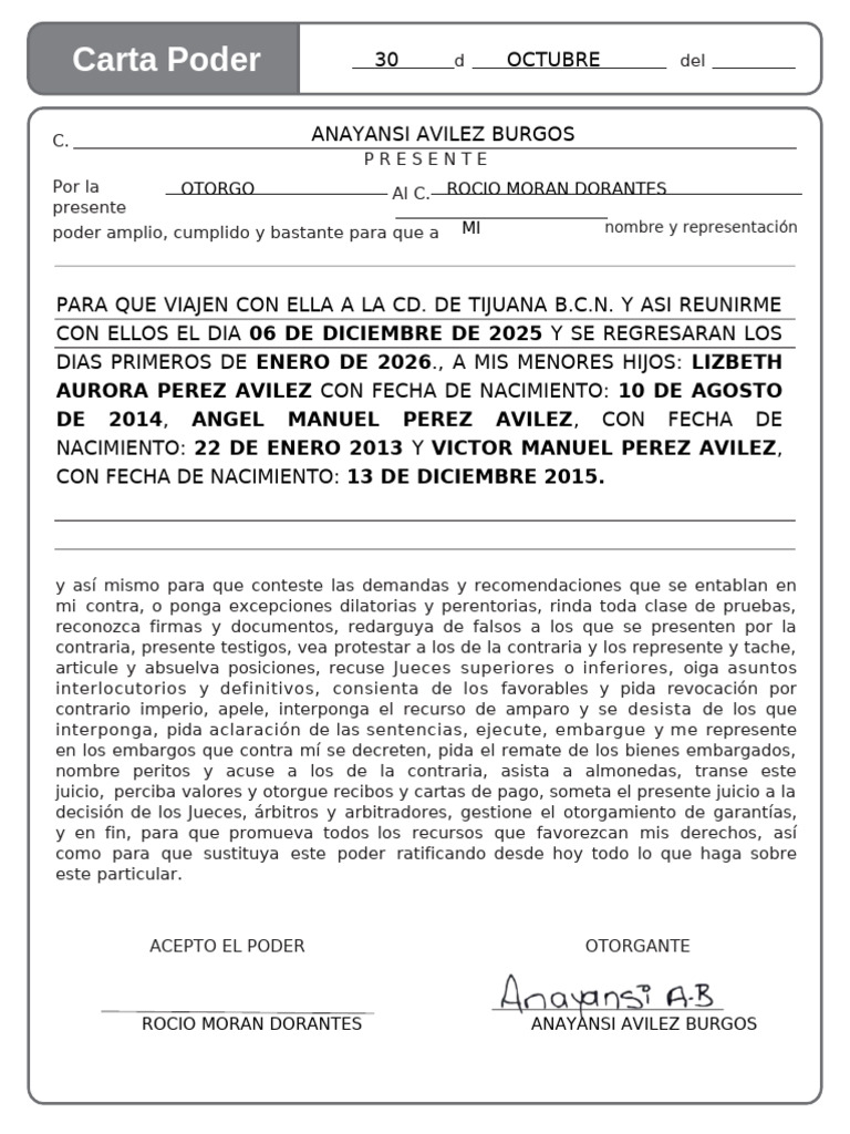 Carta Poder para Viaje y Representación | PDF
