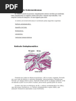 Sistema de Endomembranas
