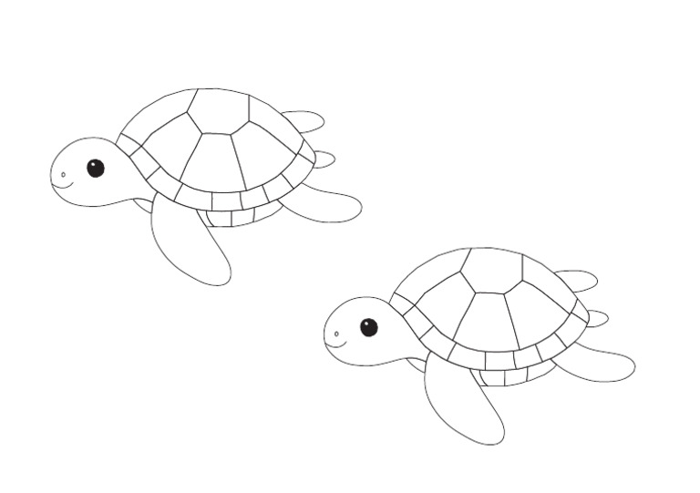 Turtle | PDF