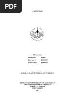 Download Laporan Luas Minimum by Galang Sila Persada SN94737125 doc pdf