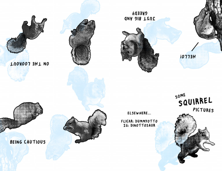 Squirrel 2 | PDF