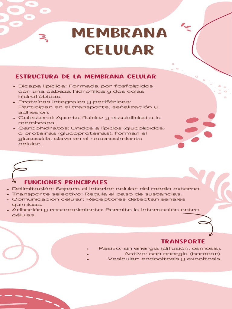 Estructura y Funciones de la Membrana Celular | PDF