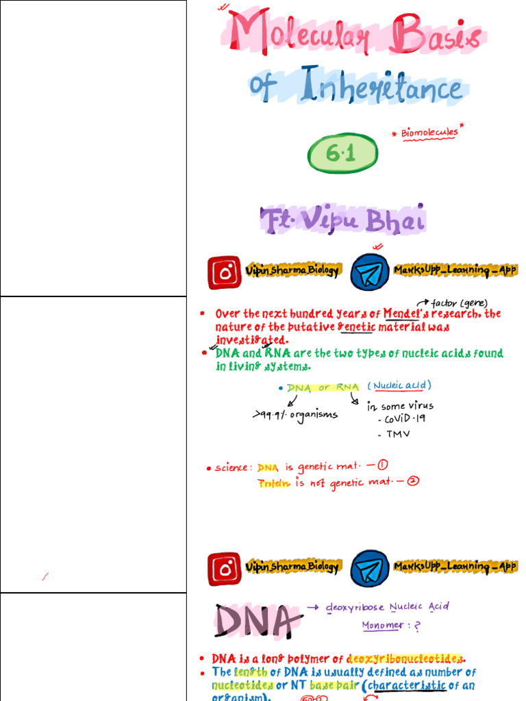 Understanding DNA Structure and Function | PDF | Operon | Translation ...