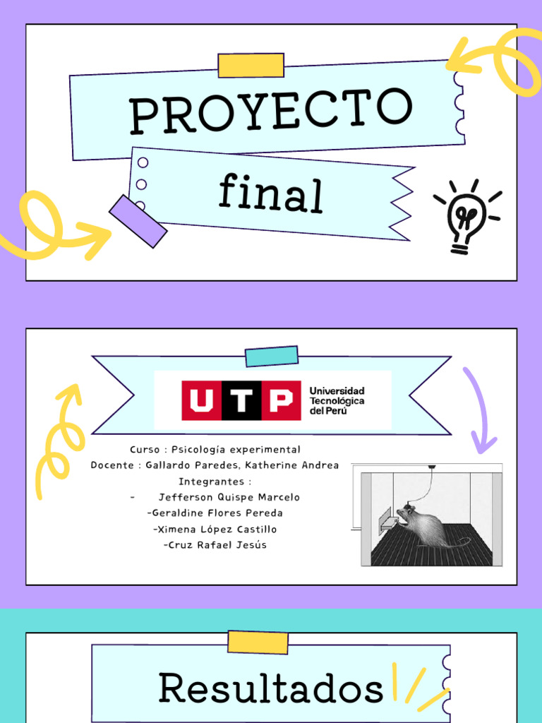 PROYECTO FINAL | PDF