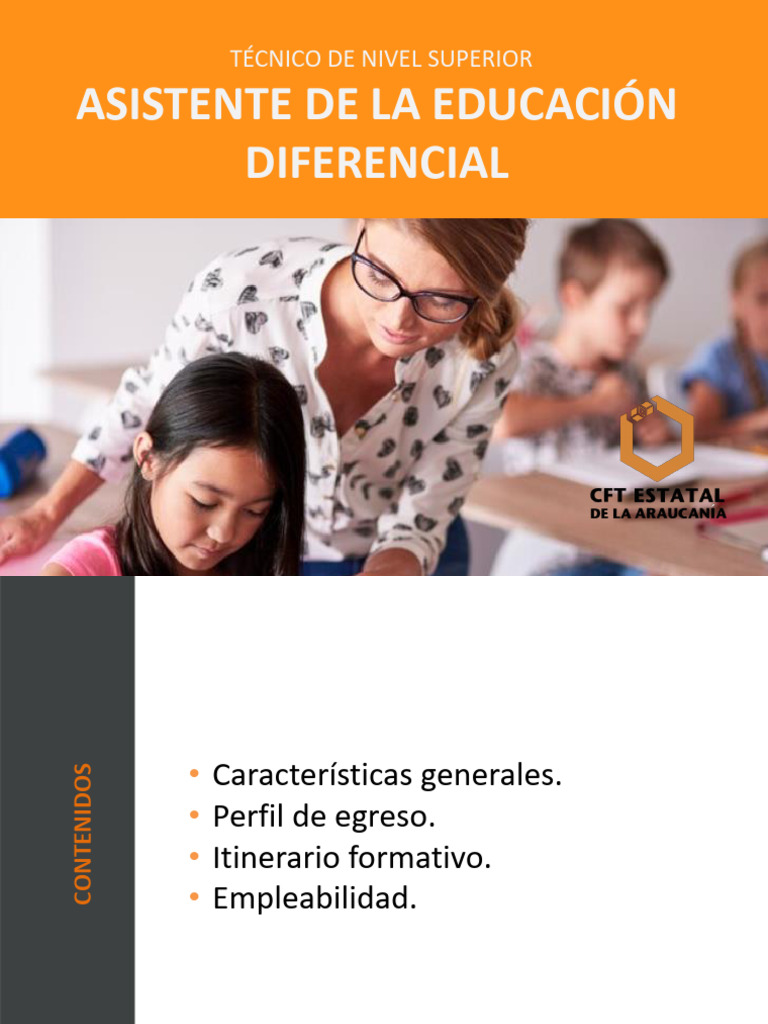 Perfil Tns Asistente de La Educación Diferencial | PDF | Aprendizaje ...